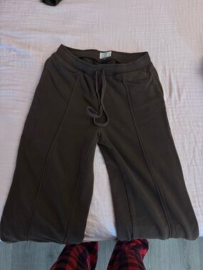 American Eagle Brown Sweatpants
